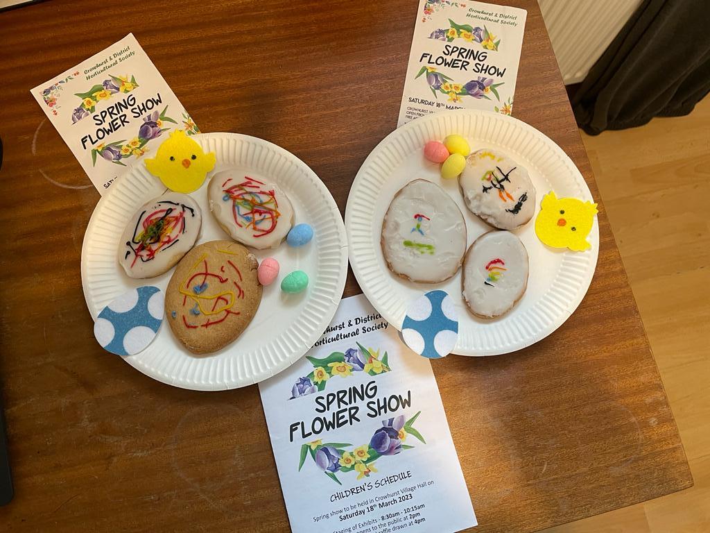 Edendale Lodge Care Home Blossom During Spring Flower Show