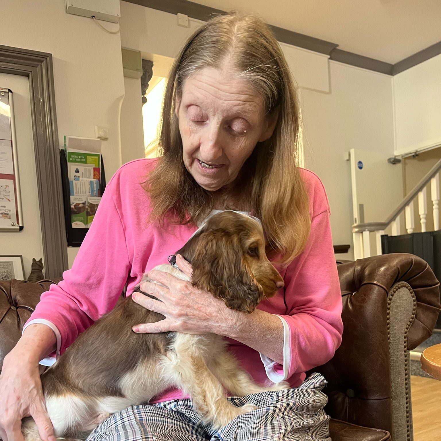 Therapy Dog Teddy Brings Joy to Haslington Lodge Care Home